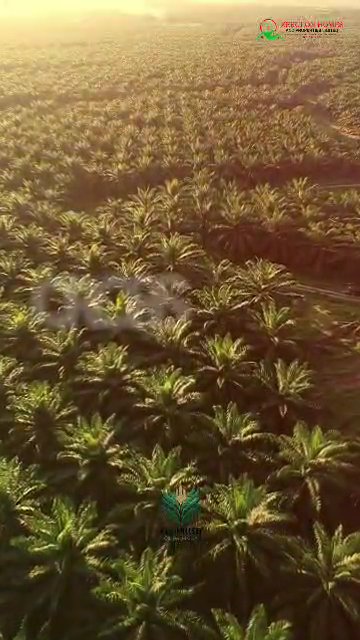 VID 20260419 WA0005