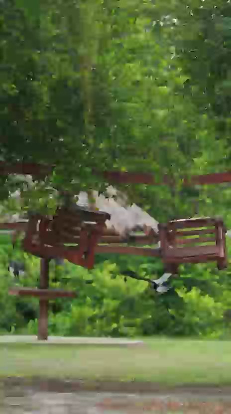 VID 20260608 WA0013